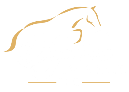 Topline Imports